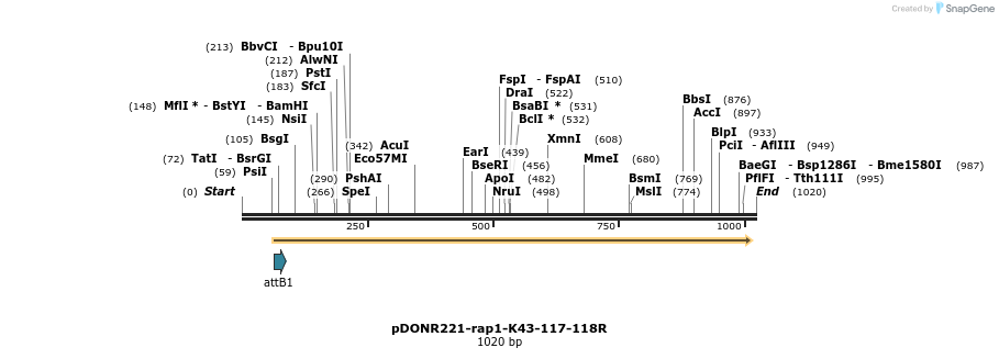 163042_map