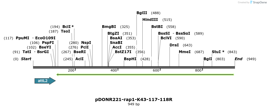 163043_map