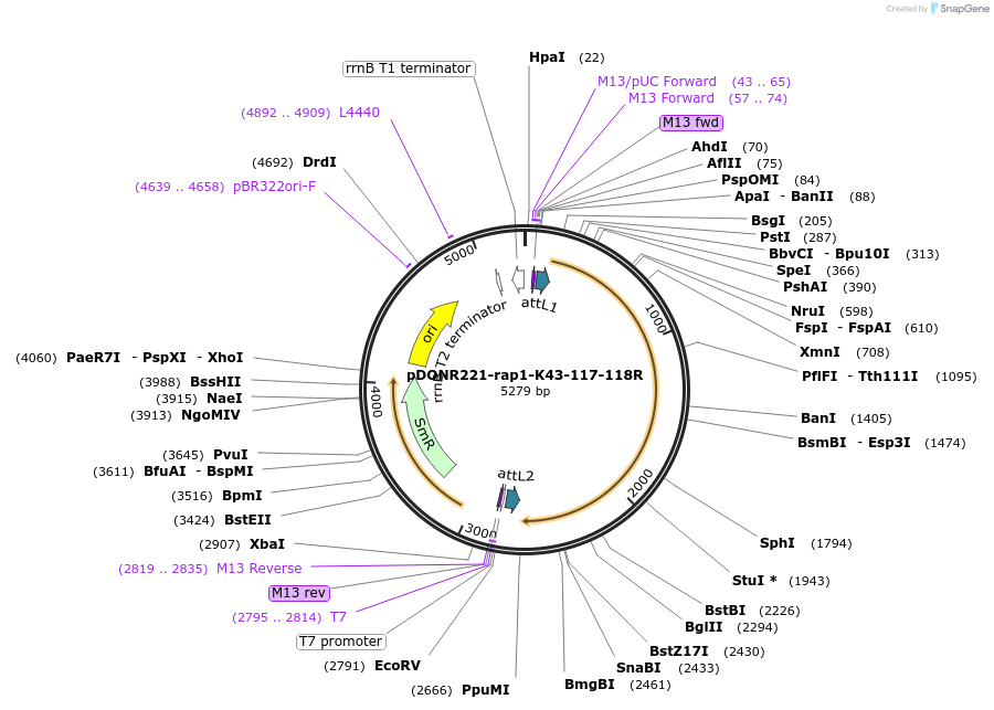 163044_map
