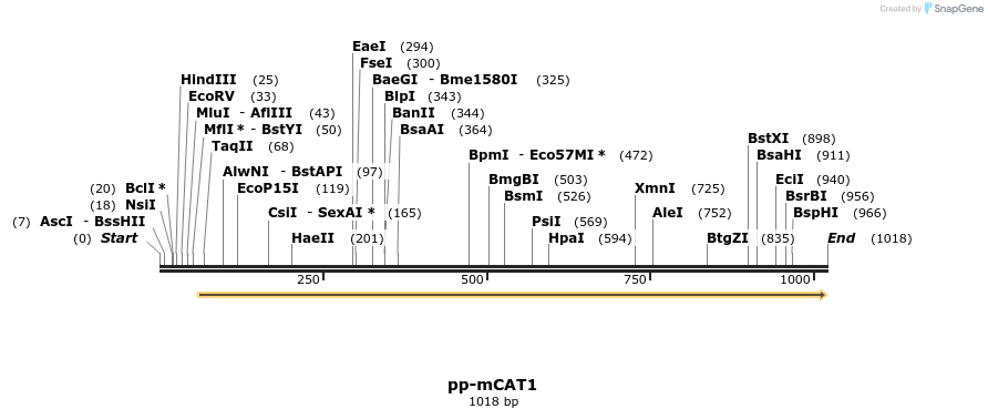 163049_map