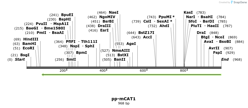163051_map