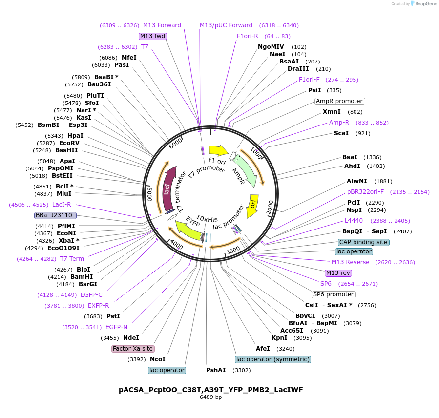163057_map