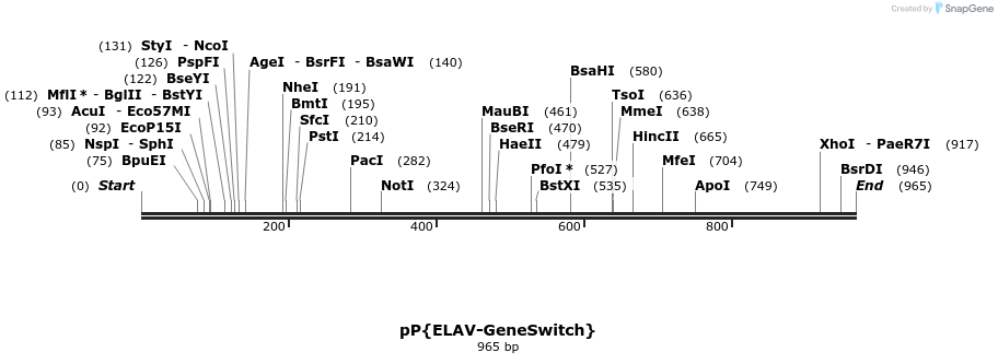 163065_map