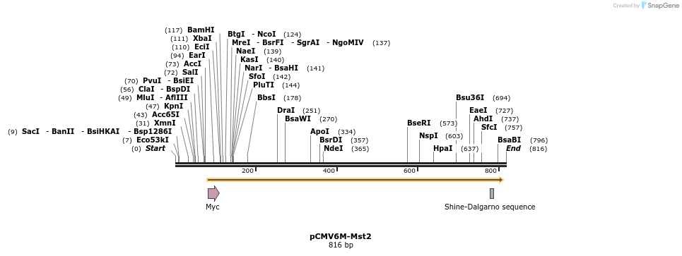 163066_map