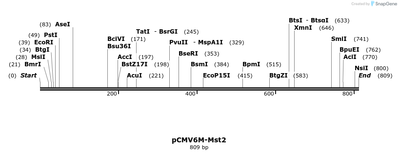 163067_map
