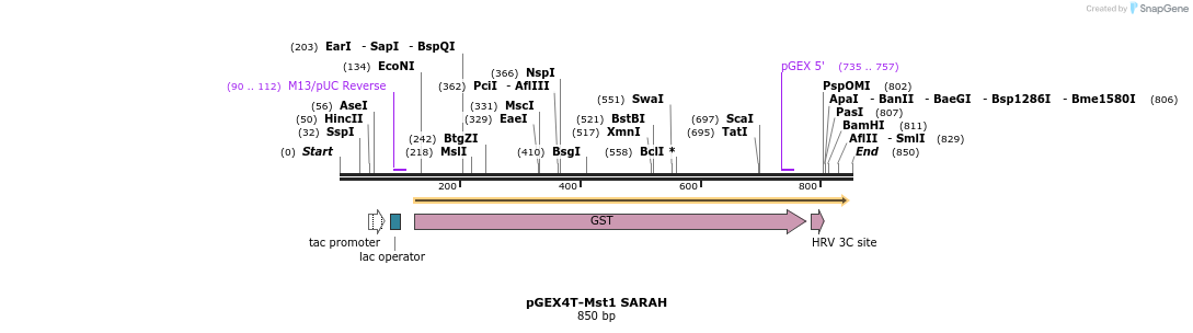 163068_map