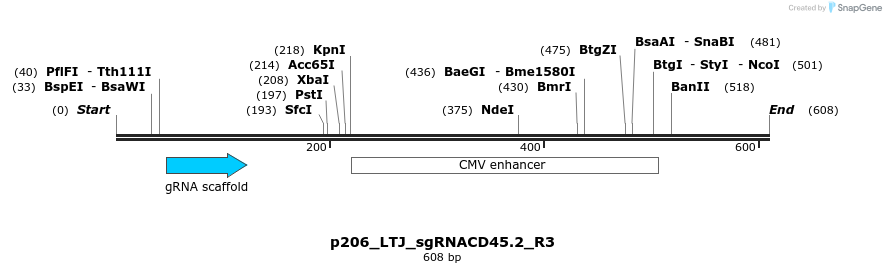 163084_map