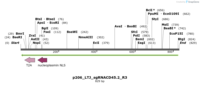 163086_map