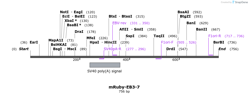 163092_map