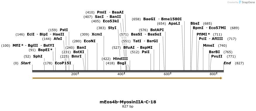 163096_map