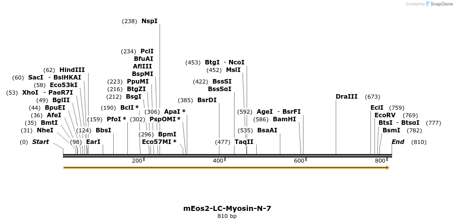 163102_map