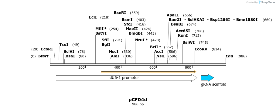 163103_map