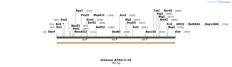 163106_map