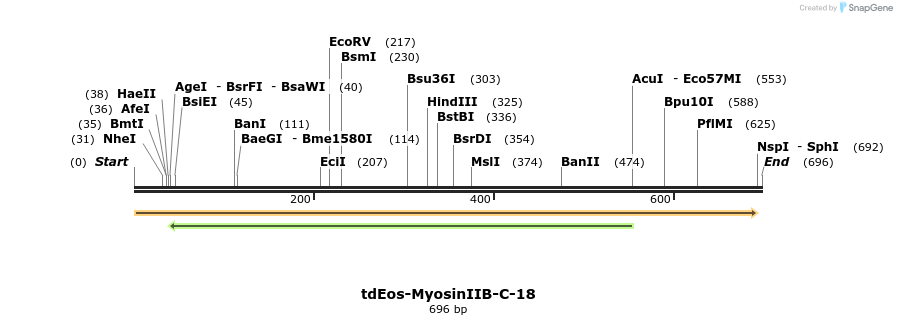 163107_map