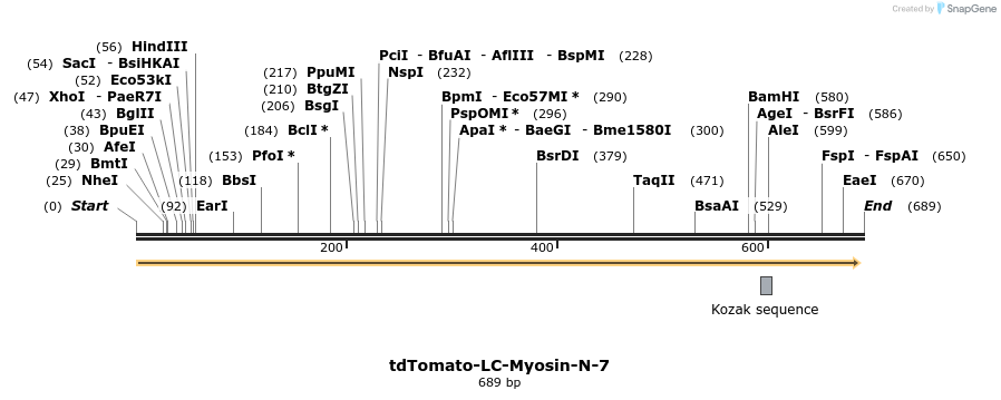 163109_map