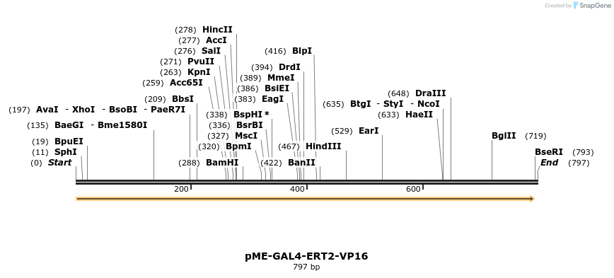 163120_map