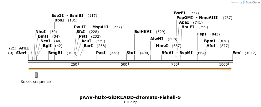 163121_map