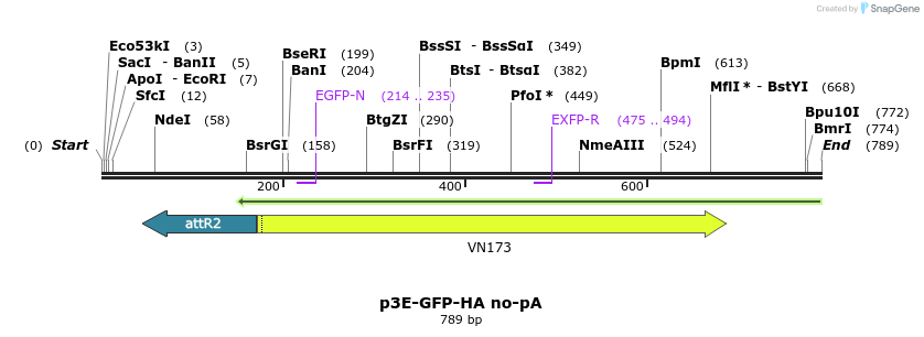 163122_map