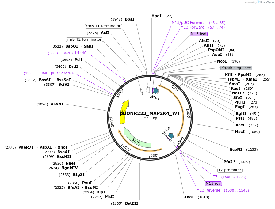 163125_map