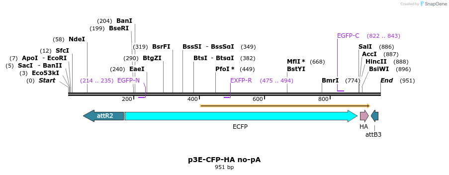 163136_map