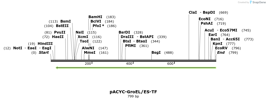 163193_map