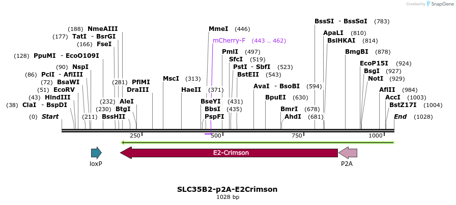 163197_map