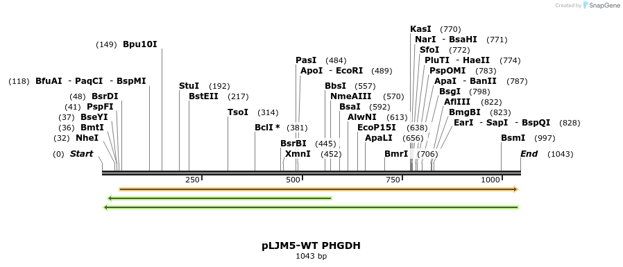 163209_map