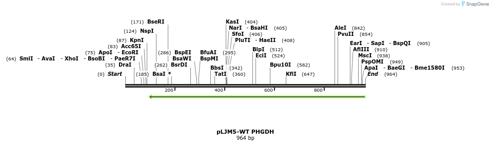163210_map