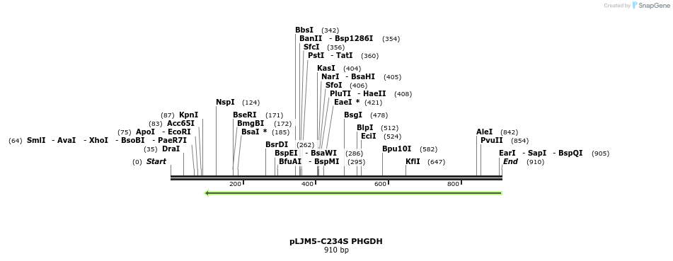 163212_map