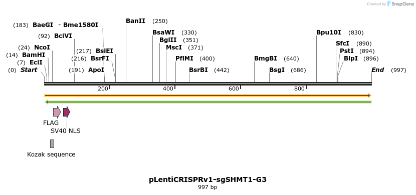 163214_map