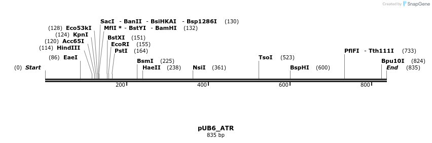 163215_map