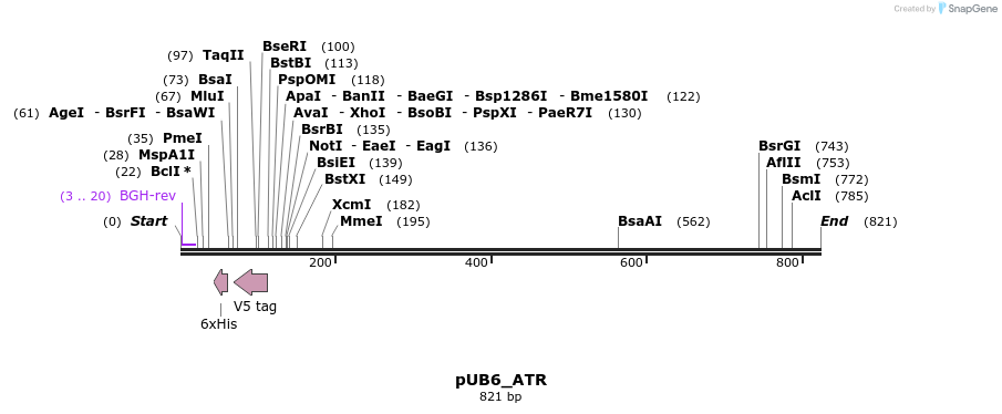 163216_map