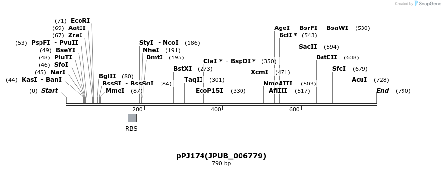 163217_map