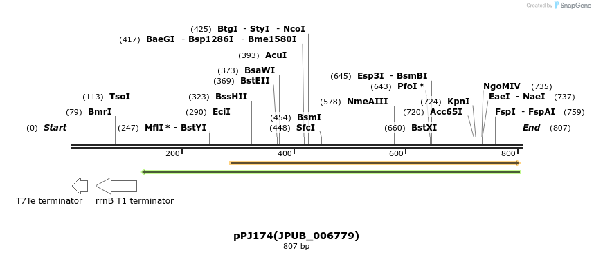 163218_map