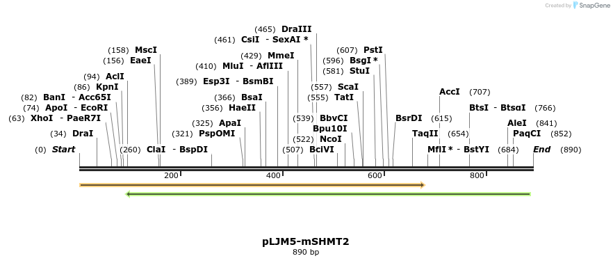 163244_map