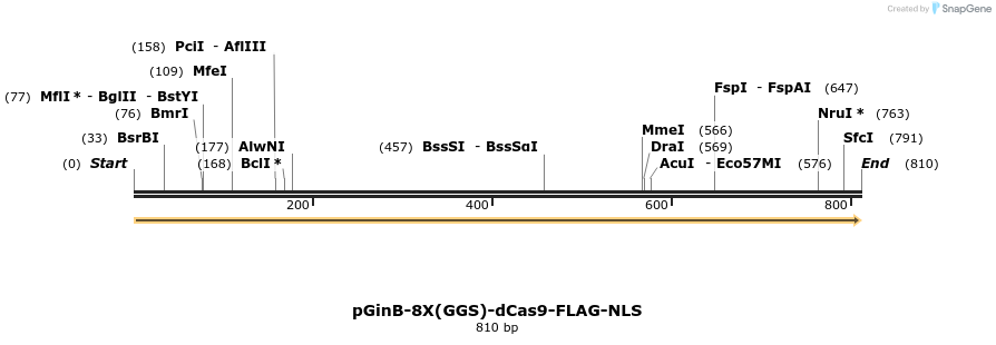 163249_map