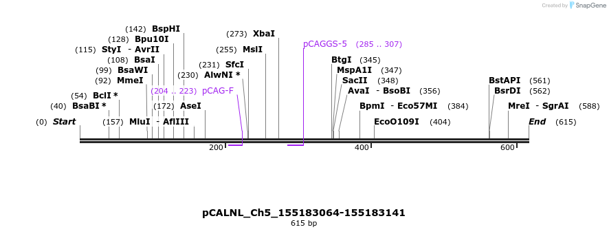 163260_map