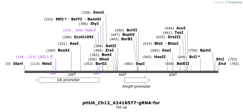 163274_map