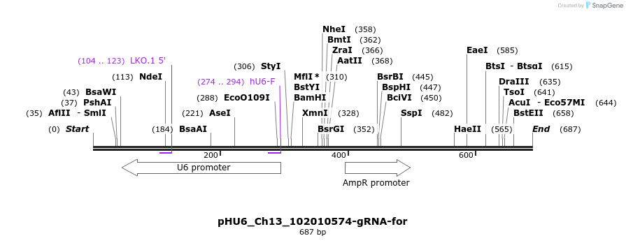 163277_map