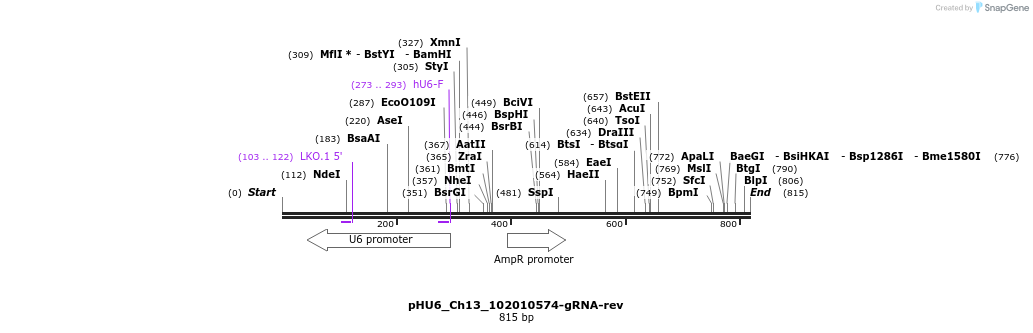 163279_map