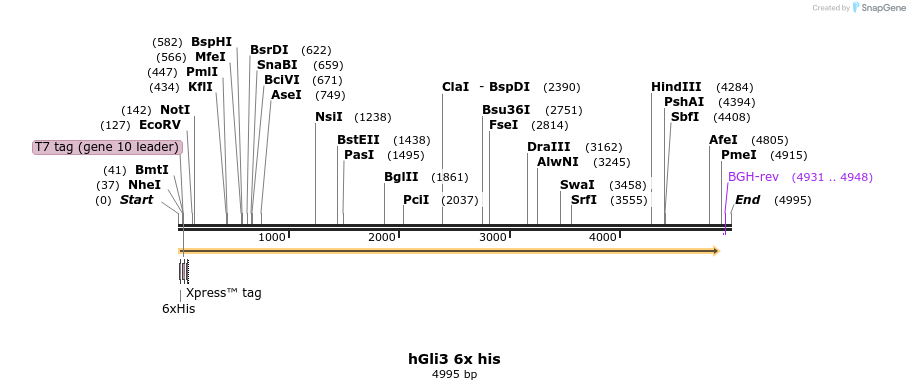163280_map