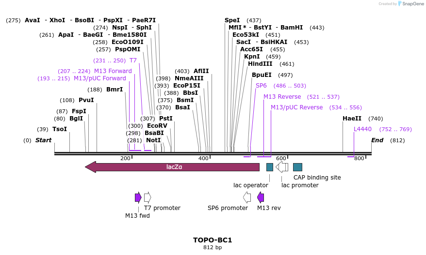 163302_map