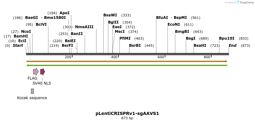 163322_map