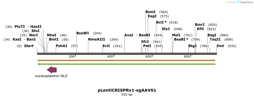 163326_map