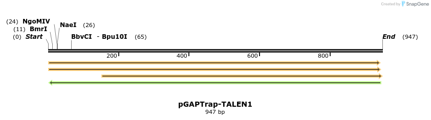 163347_map