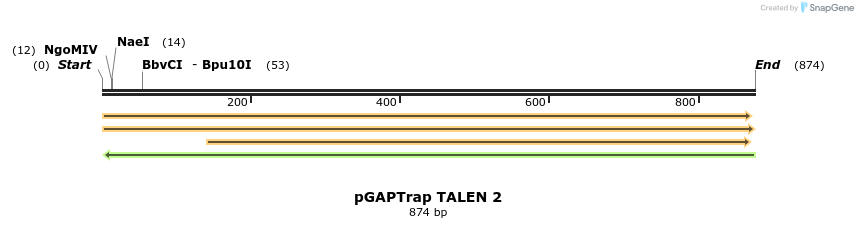 163366_map