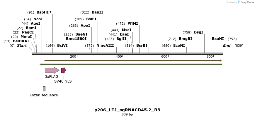 163375_map