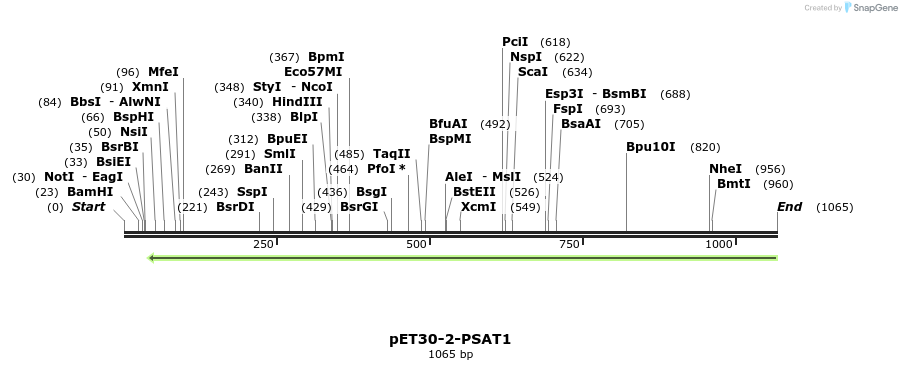 163392_map