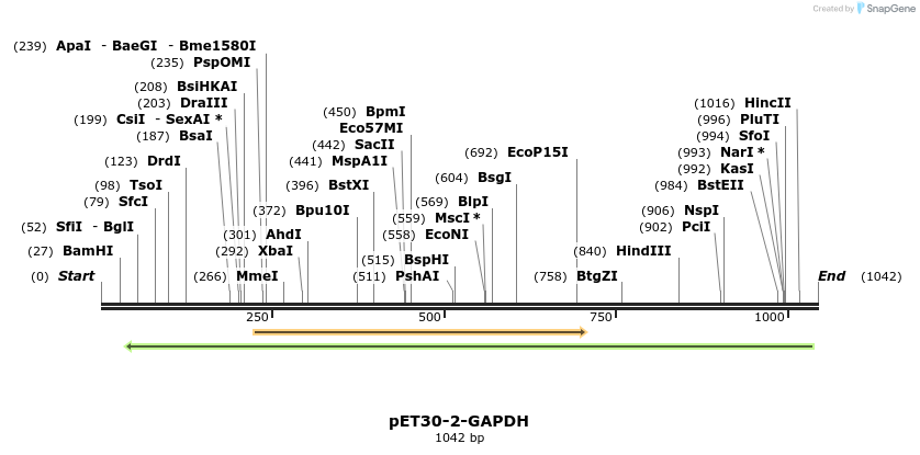163402_map