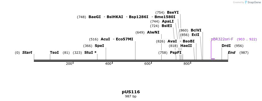 163420_map